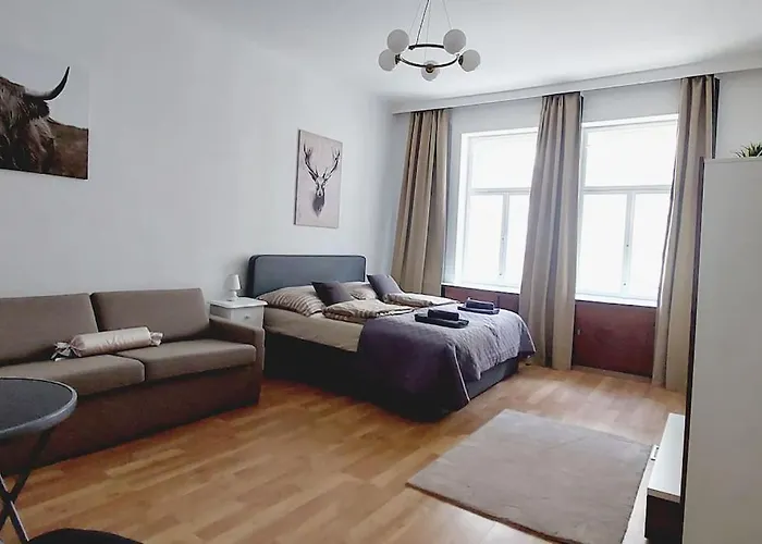 Διαμέρισμα & Spacious Checkinvienna